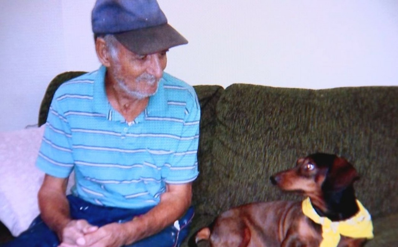 Cão morre ao defender dono de ataque de pit bull em Jaú Cão morre ao defender dono de ataque de pit bull em Jaú