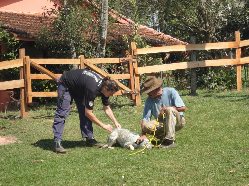 Botucatu antecipa Campanha de Vacinação Contra a Raiva na Zona Rural