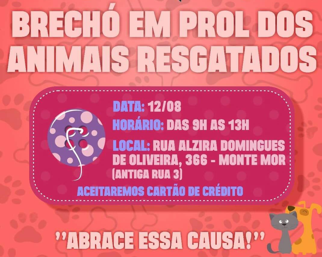 Protetores independentes vão realizar Brechó em prol de animais resgatados Protetores independentes vão realizar Brechó em prol de animais resgatados