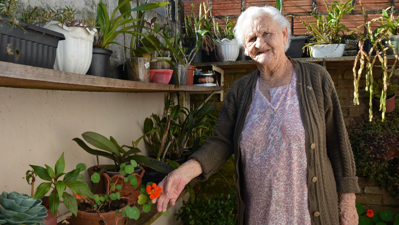 Salgadeira de mão cheia: Emília Panhin recorda como era a região norte há 65 anos Salgadeira de mão cheia: Emília Panhin recorda como era a região norte há 65 anos