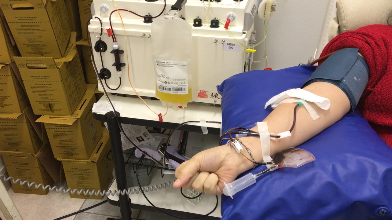 Campanha de doação de sangue para a Oncologia Pediátrica do HC acontece neste sábado,12 Campanha de doação de sangue para a Oncologia Pediátrica do HC acontece neste sábado,12