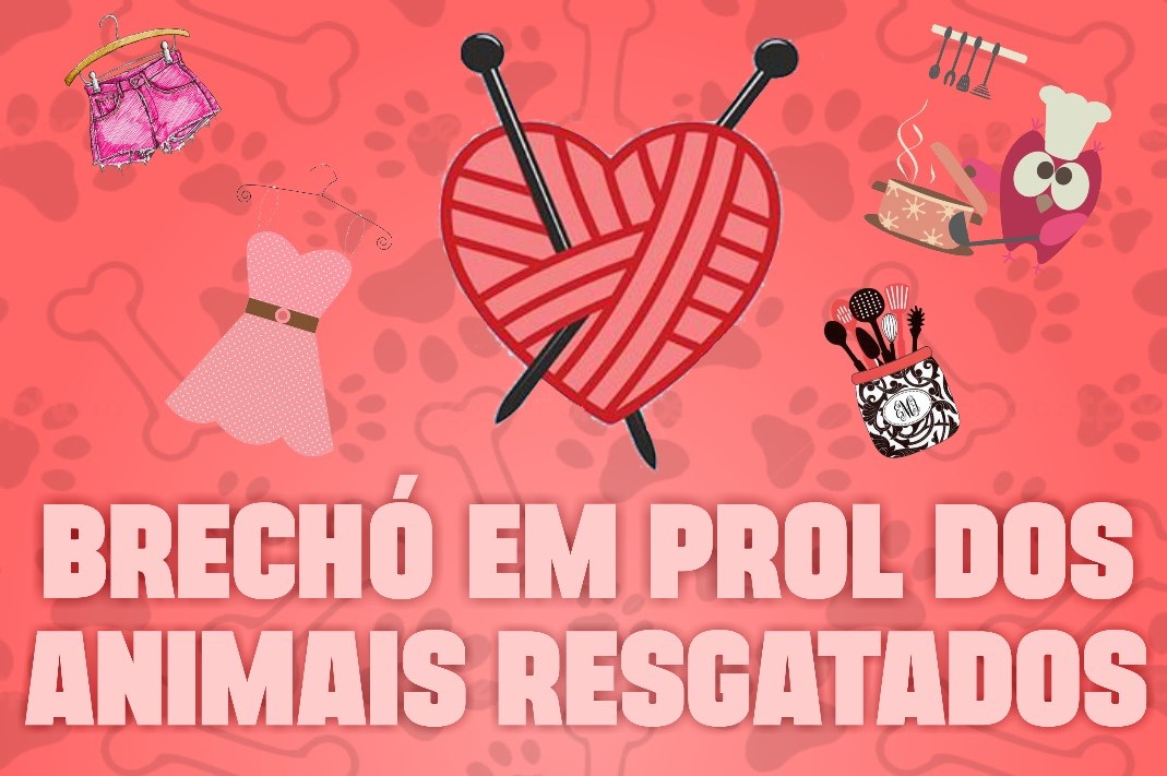 Protetores independentes vão realizar Brechó em prol de animais resgatados