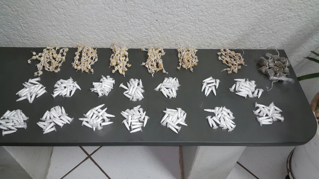 Polícia Militar faz grande apreensão de drogas em São Manuel