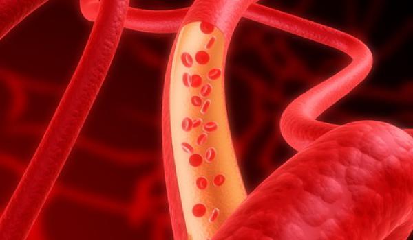 FMB/Unesp realizará o 1º Dia Vascular de Botucatu