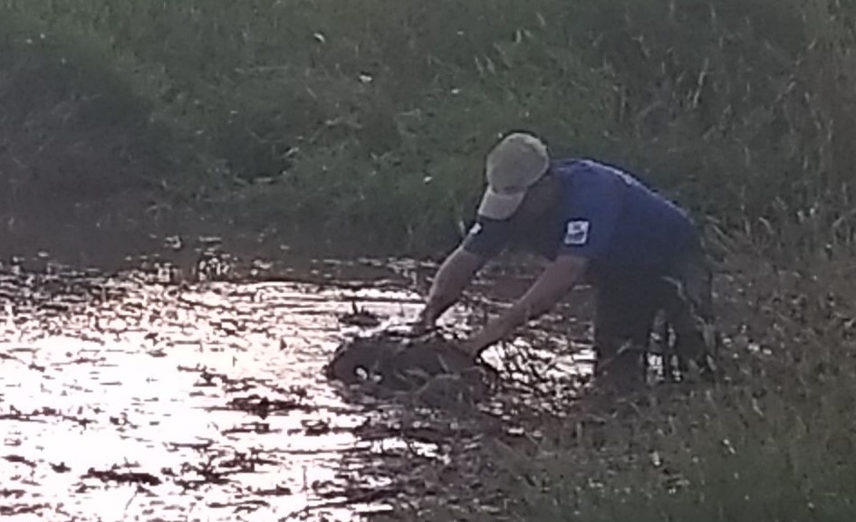 Homem é assassinado e jogado em lago de loteamento em Pardinho