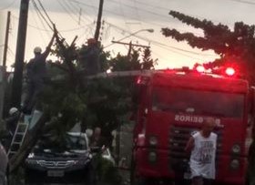 Chuva derruba árvore e deixa parte da Cohab 1 sem energia