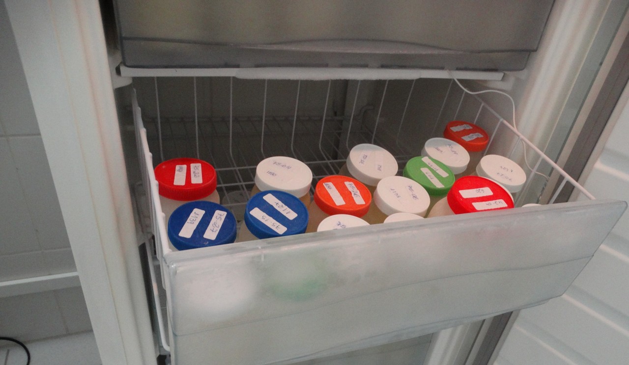 Banco de Leite Humano do HCFMB precisa de doações