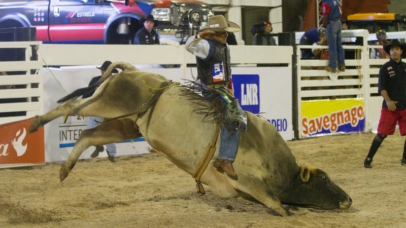 Vereadora pede para retirar assinatura e “emenda dos rodeios” perde força em Botucatu; clima é tenso na Câmara