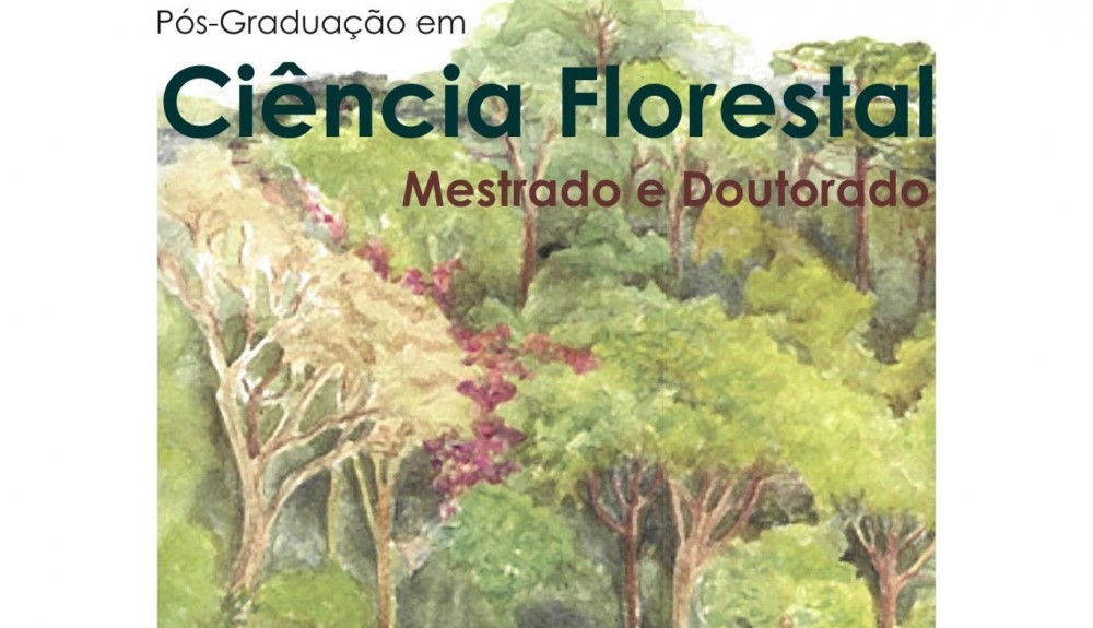 Pós-Graduação em Ciência Florestal comemora 10 anos