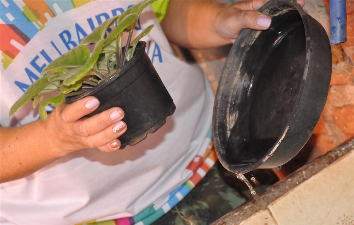 Índice de infestação do mosquito Aedes aegypti continua alto em Botucatu