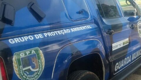 Homem mata cachorro a facadas em Botucatu