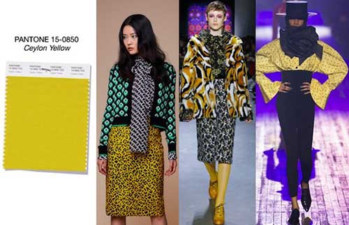Cores Outono Inverno: #03 Ceylon Yellow Cores Outono Inverno: #03 Ceylon Yellow