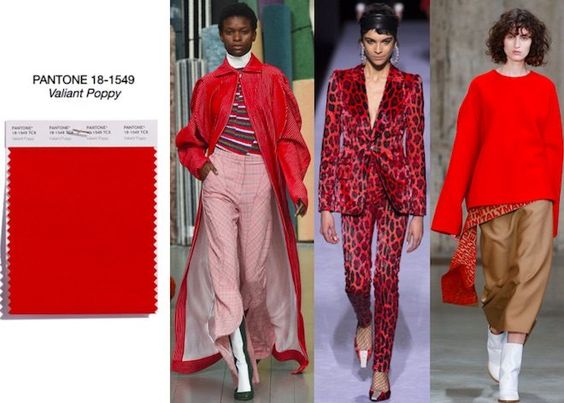 Cores Outono Inverno: #02 Valiant Poppy Cores Outono Inverno: #02 Valiant Poppy
