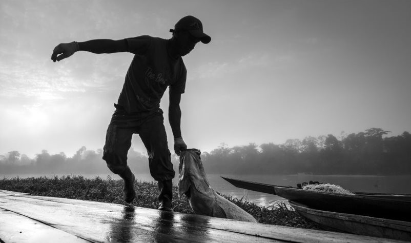 Cultura ribeirinha e pesca do Pirarucu são destaques de exposição no Sesi Botucatu