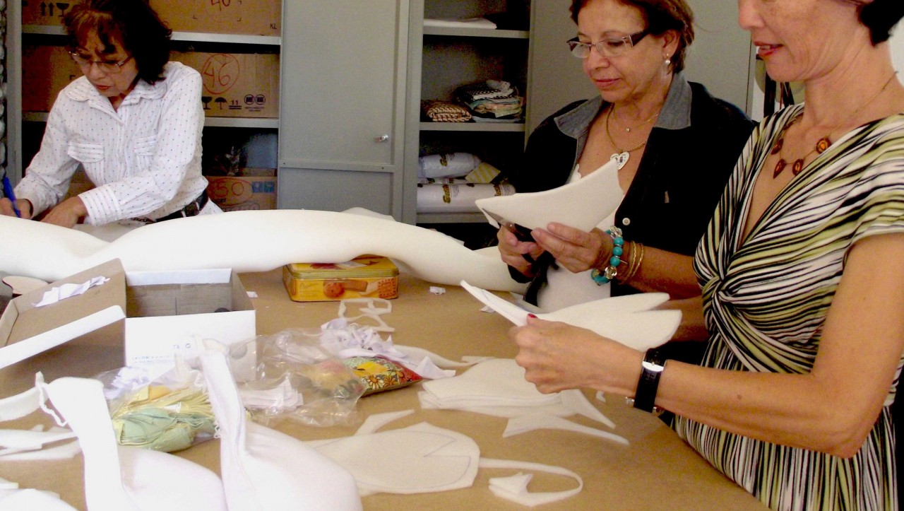 Inbrasp realiza doação de material importado para a Botuccam