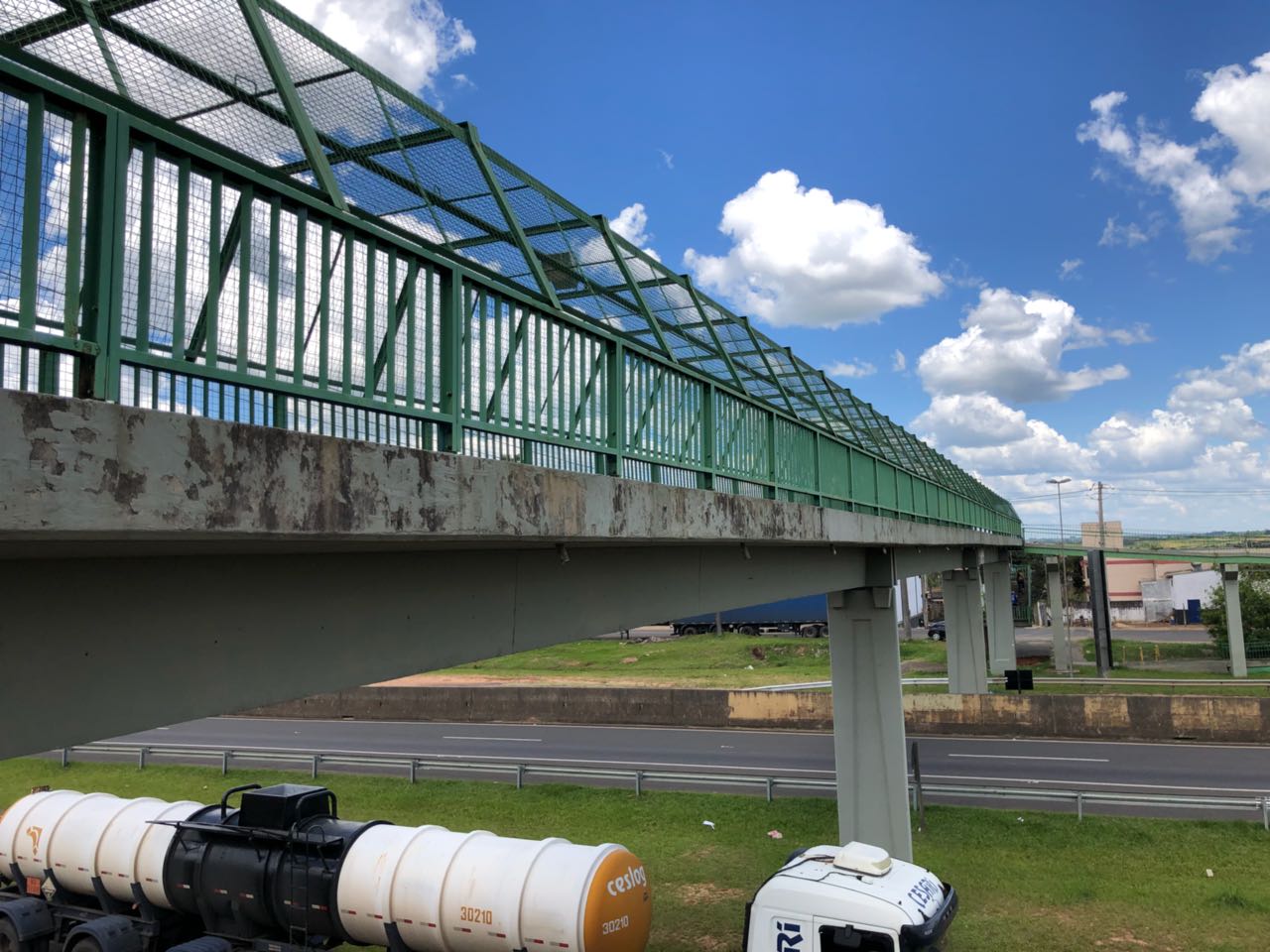 Maio Amarelo: 47% dos atropelamentos nas rodovias concedidas são próximos às passarelas