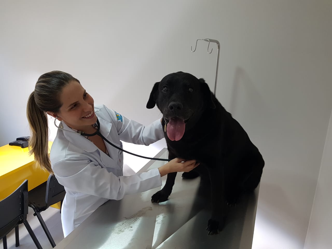 ConceitoVet: Clínica Veterinária será inaugurada em Botucatu ConceitoVet: Clínica Veterinária será inaugurada em Botucatu
