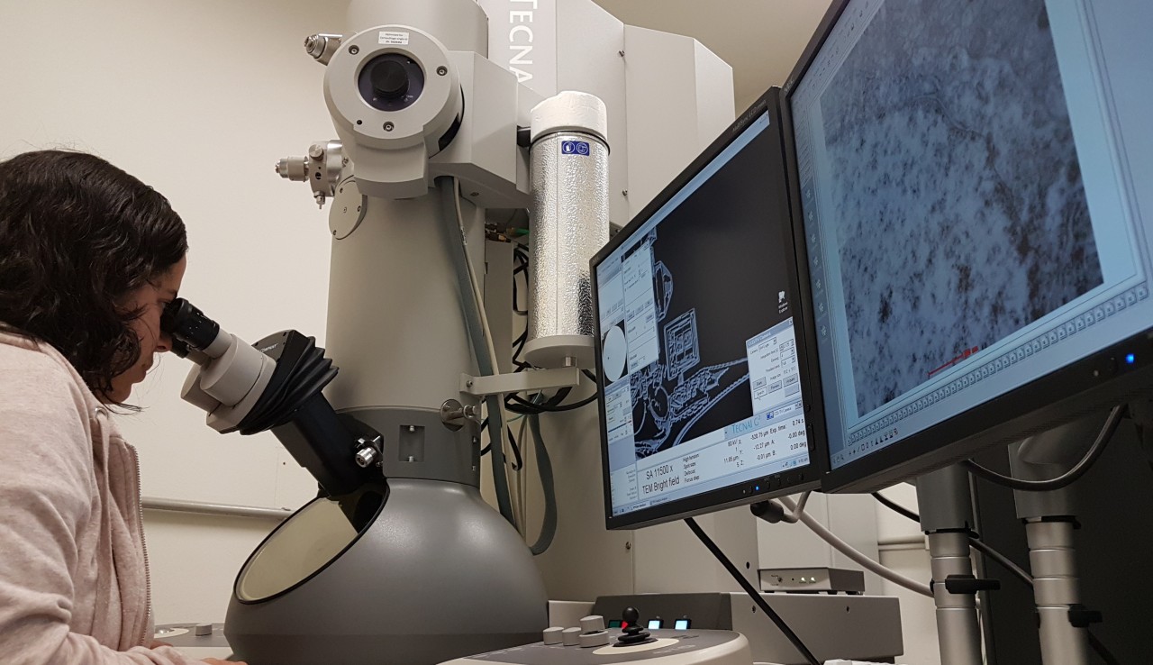 IB Unesp Botucatu organiza 5º Simpósio do Centro de Microscopia Eletrônica IB Unesp Botucatu organiza 5º Simpósio do Centro de Microscopia Eletrônica