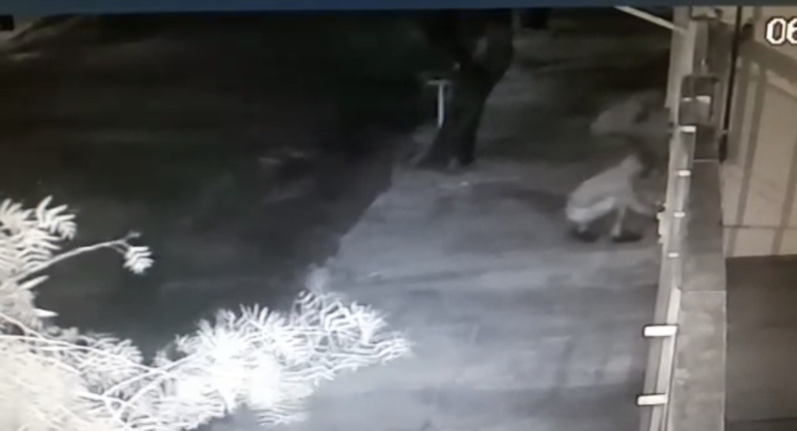 Homens arrombam casa em Botucatu e levam TV; veja vídeo da ação criminosa