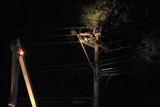 Foto: WILLIANS BIEHL