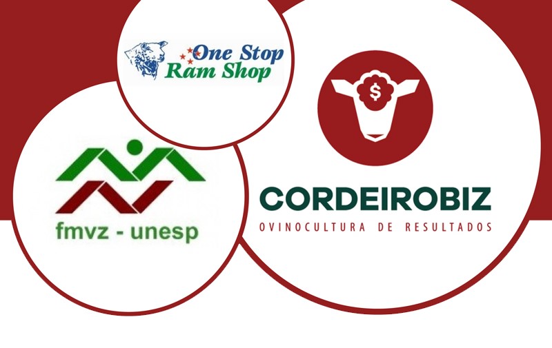 FMVZ/Unesp firma convênio com empresa da área de Ovinocultura
