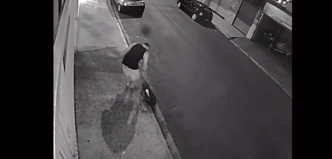 Câmera de segurança mostra homem agredindo cachorro em Botucatu