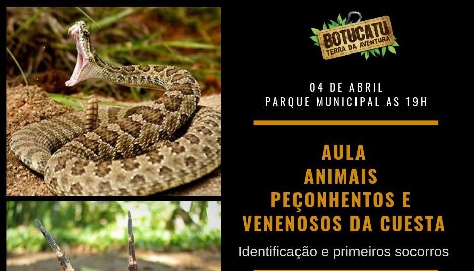 Prefeitura, Comutur e IBB realizam aula especial sobre animais peçonhentos