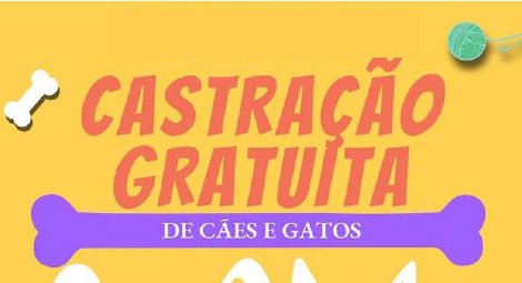São Manuel fará 800 castrações gratuitas este ano São Manuel fará 800 castrações gratuitas este ano