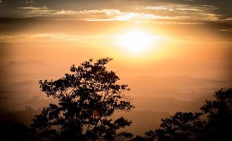 Muito sol durante a semana em Botucatu