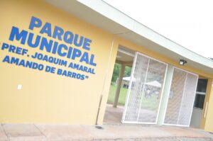 domingo no parque
