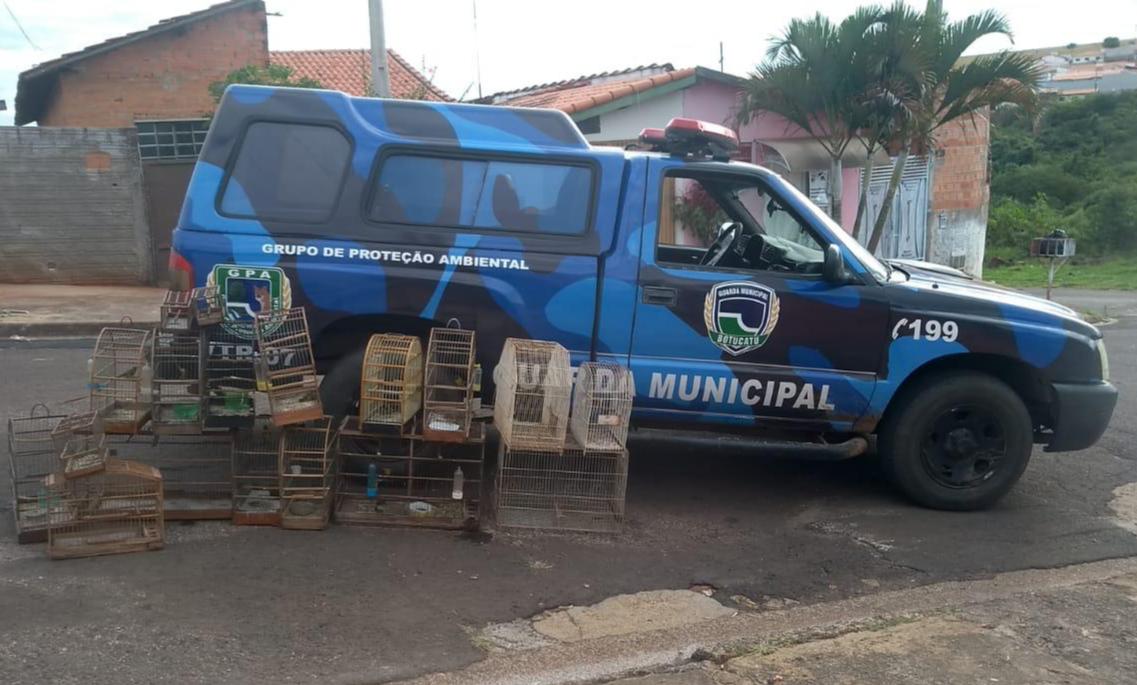 GPA flagra 14 aves silvestres em cativeiro irregular no Jardim Itamarati