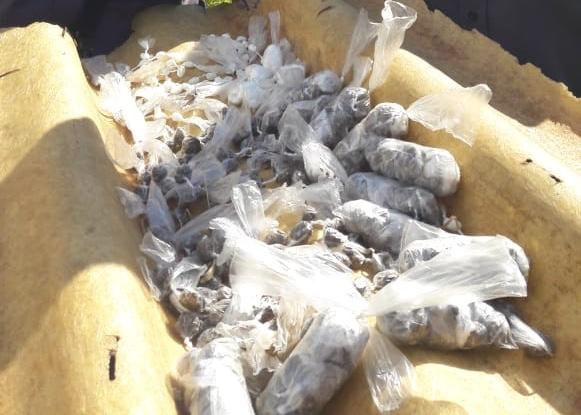 Homem é preso após ‘dispensar’ 416 porções de maconha e 191 de cocaína na Vila Jardim