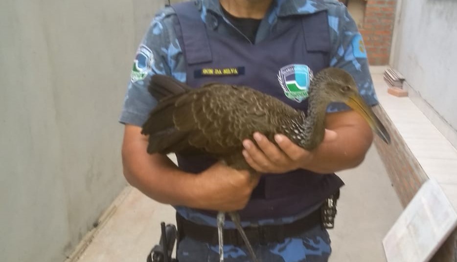 GPA resgate um ‘carão’ de residência no Jardim Monte Mor