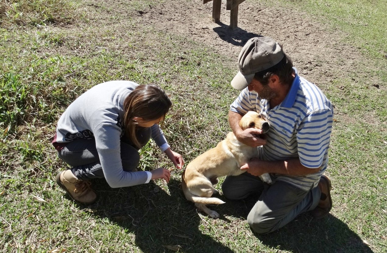 Vacinação antirrábica de cães e gatos na Zona Rural será em agosto Vacinação antirrábica de cães e gatos na Zona Rural será em agosto