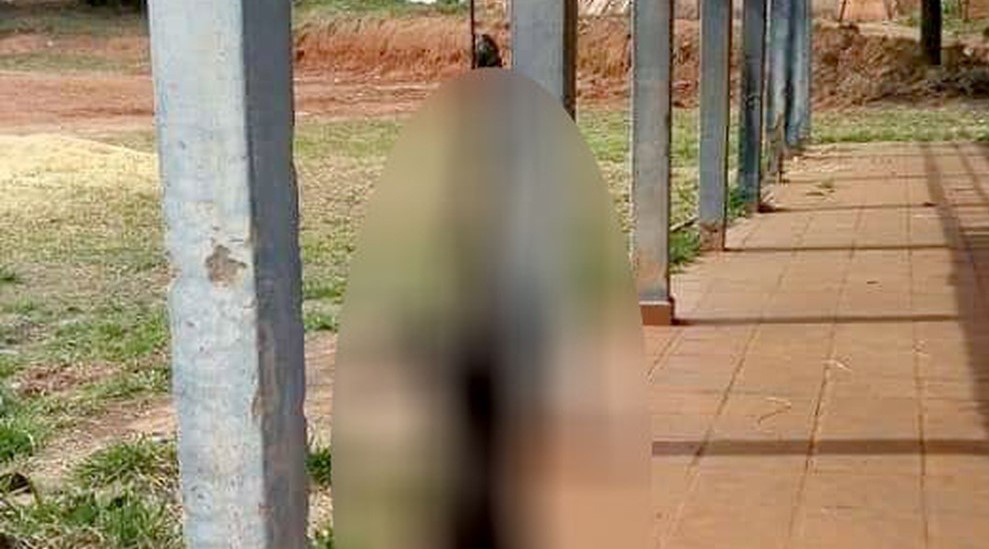 Corpo de cachorra achada morta e pendurada por um fio de energia em Dois Córregos foi levado para Botucatu