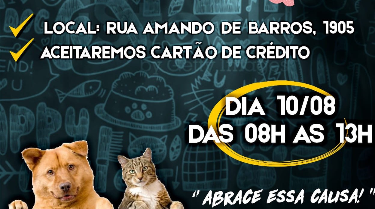 Bazar vai arrecadar fundos para animais resgatados em Botucatu neste sábado