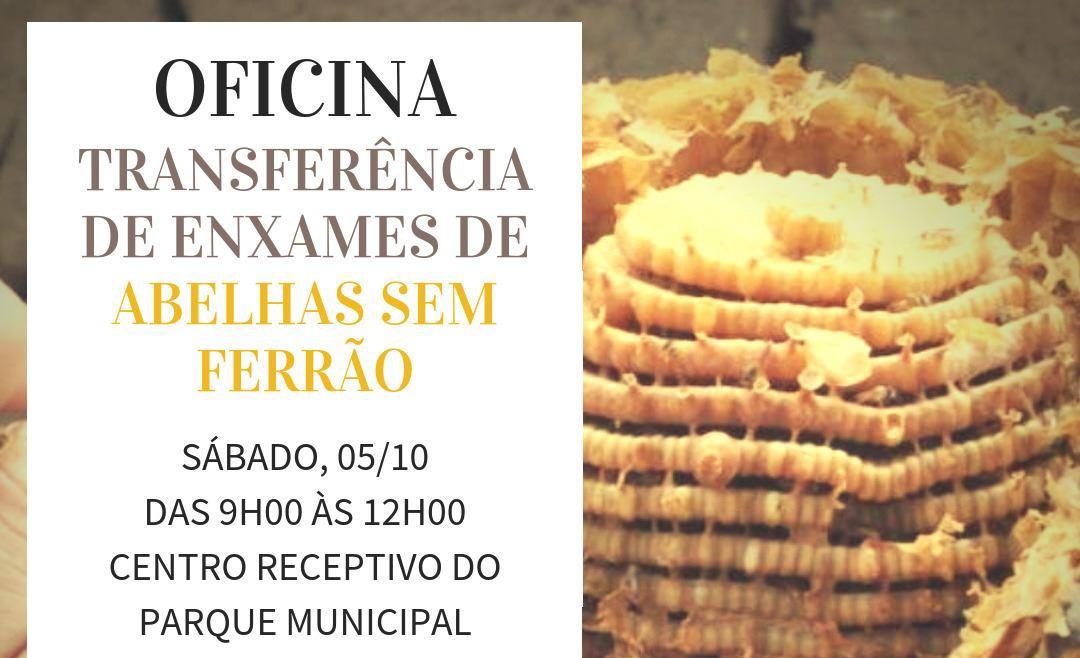 Parque Municipal realiza oficina de transferência de abelhas