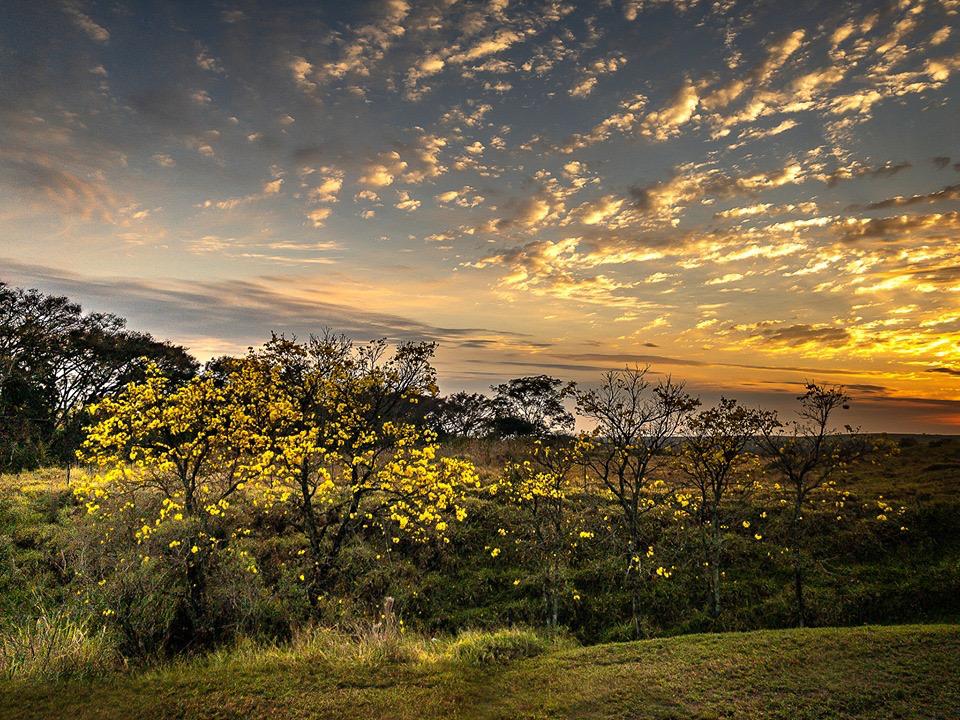 Semana em Botucatu continua com sol e tempo muito seco