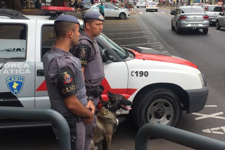 Canil Setorial da PM faz patrulhamento preventivo no centro de Botucatu