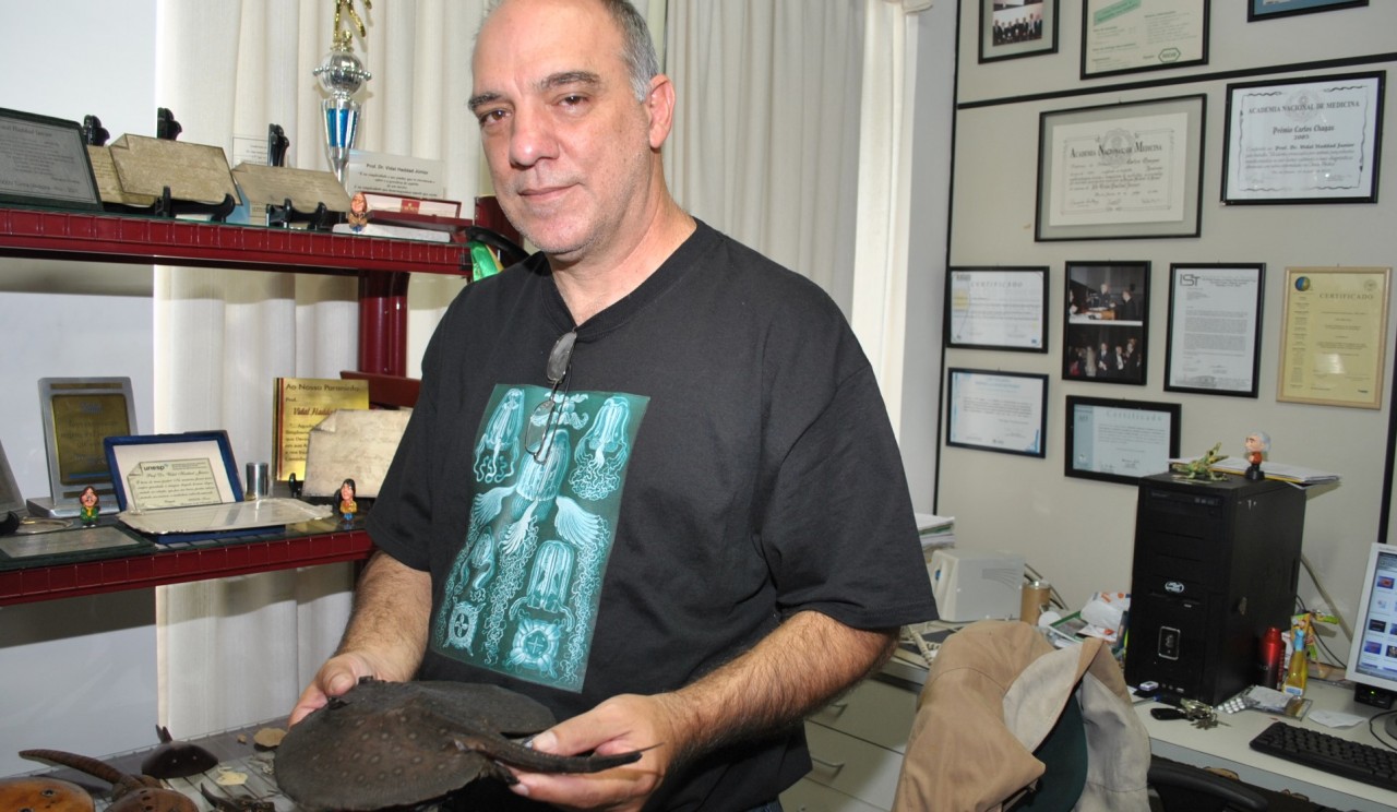 Professor da FMB/Unesp alerta sobre acidentes com animais aquáticos Professor da FMB/Unesp alerta sobre acidentes com animais aquáticos