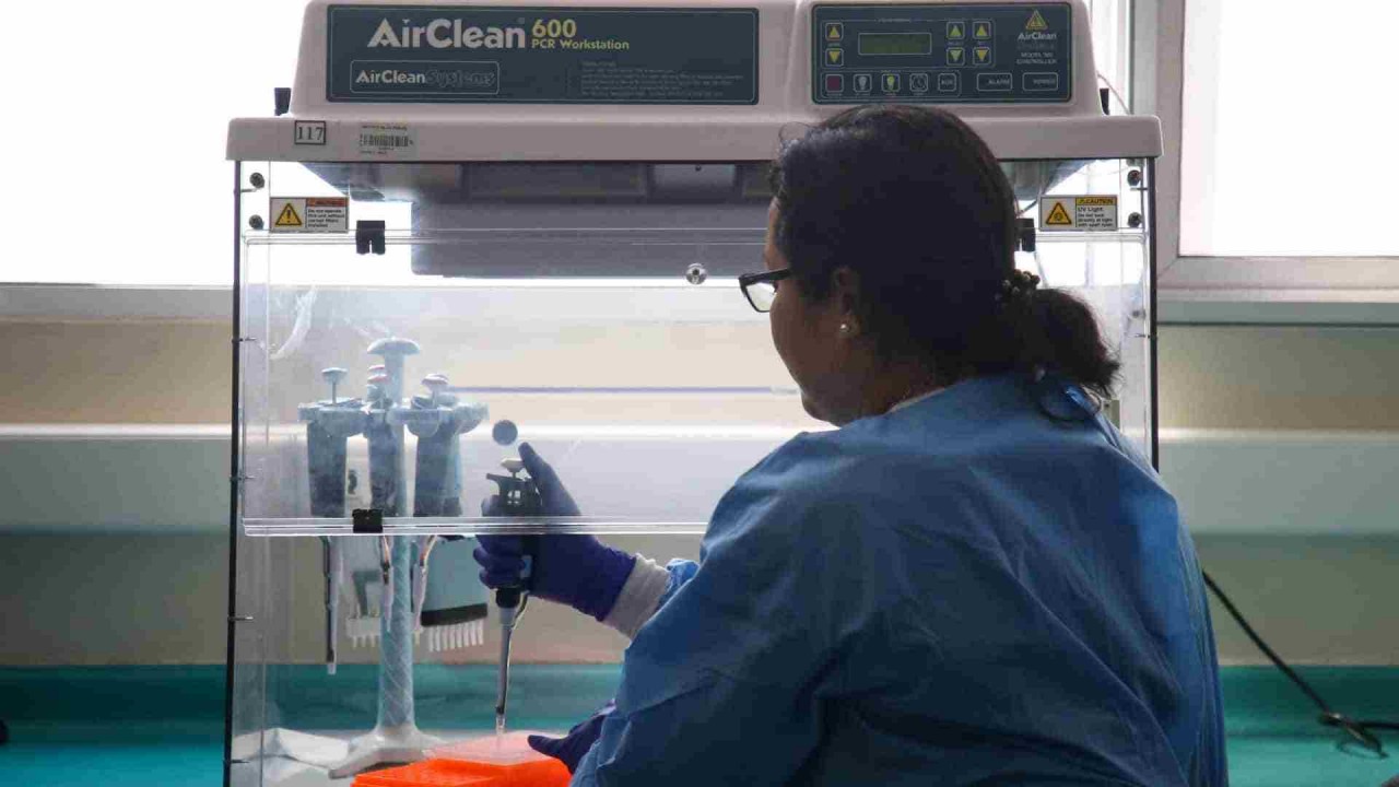 Saúde monitora 7 casos suspeitos de coronavírus no Estado de SP Saúde monitora 7 casos suspeitos de coronavírus no Estado de SP