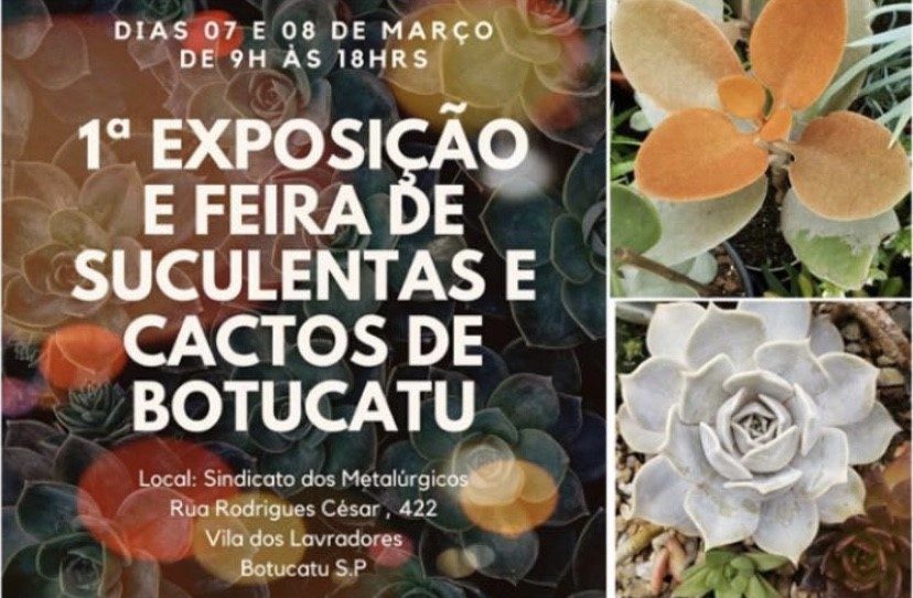 Botucatu terá exposição e feira de plantas suculentas e cactos neste fim de semana