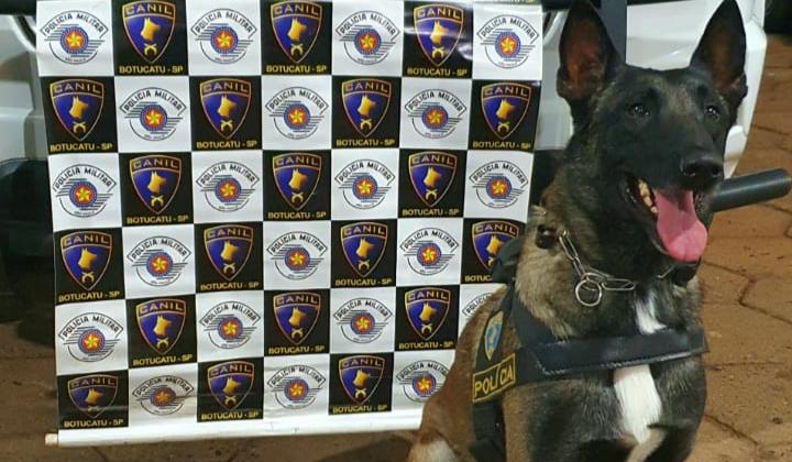 Após perseguição, PM prende homem por tráfico na Vila São Benedito