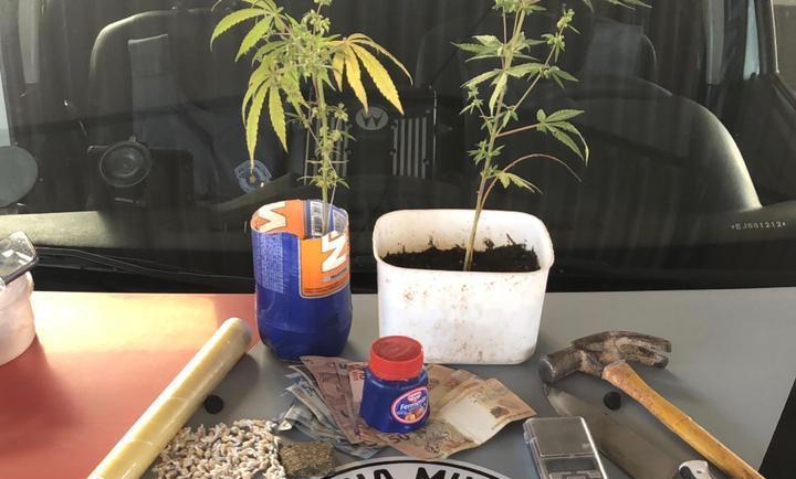 Homem é preso com plantas de maconha, entorpecentes e objetos para fracionar droga em Botucatu