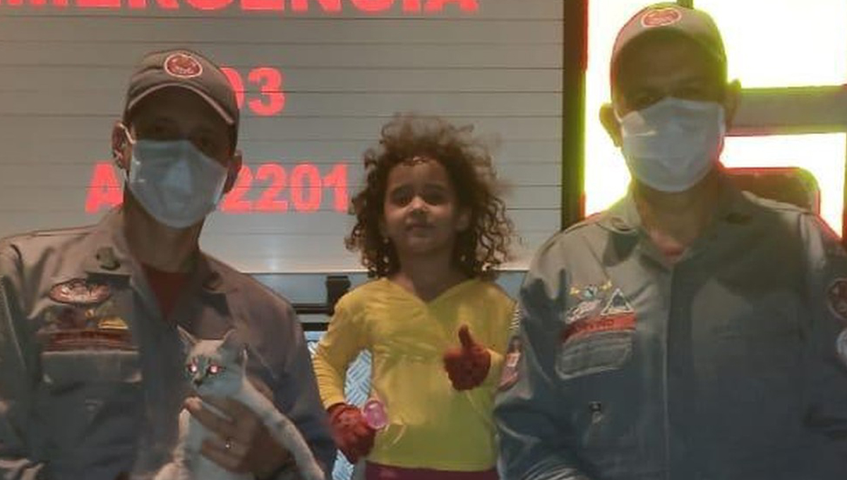 Bombeiros resgatam gata presa entre paredes e devolvem para dona de 5 anos: ‘Superfeliz’, diz mãe