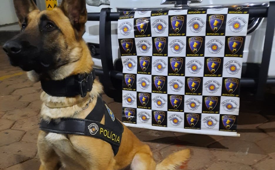 Equipe do Canil PM prende homem no Jardim Cedro por tráfico de drogas