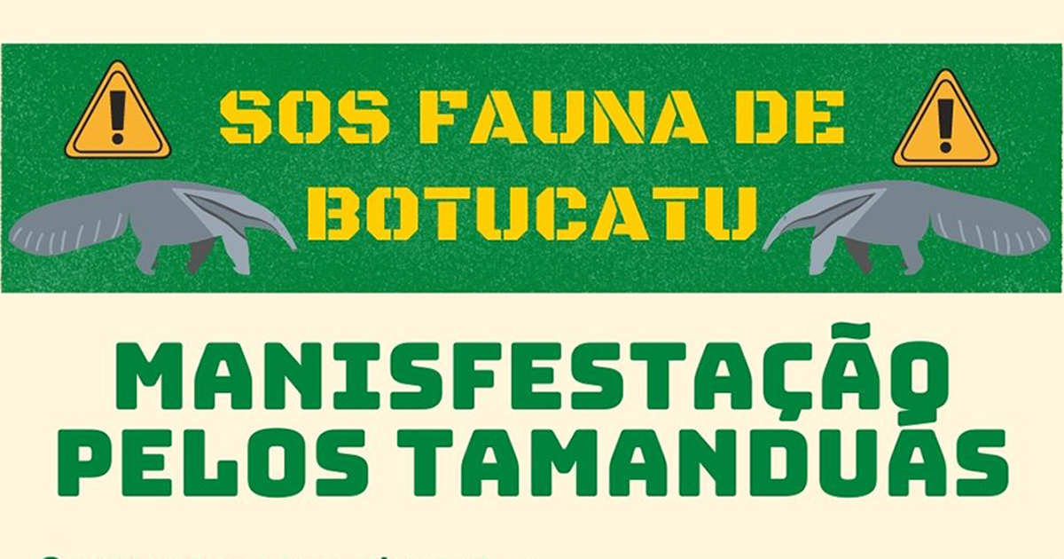 Moradores da região da Gastão Dal Farra farão protesto contra morte de tamanduás