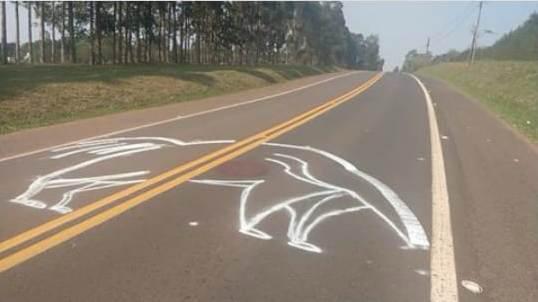 Protesto contra morte de tamanduás neste sábado, 12, muda de local