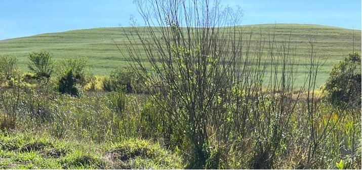 Projeto da Unesp visa recuperação ecológica do Aquífero Guarani