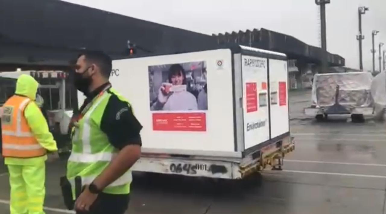 Primeiro lote da vacina Coronavac chega ao Brasil